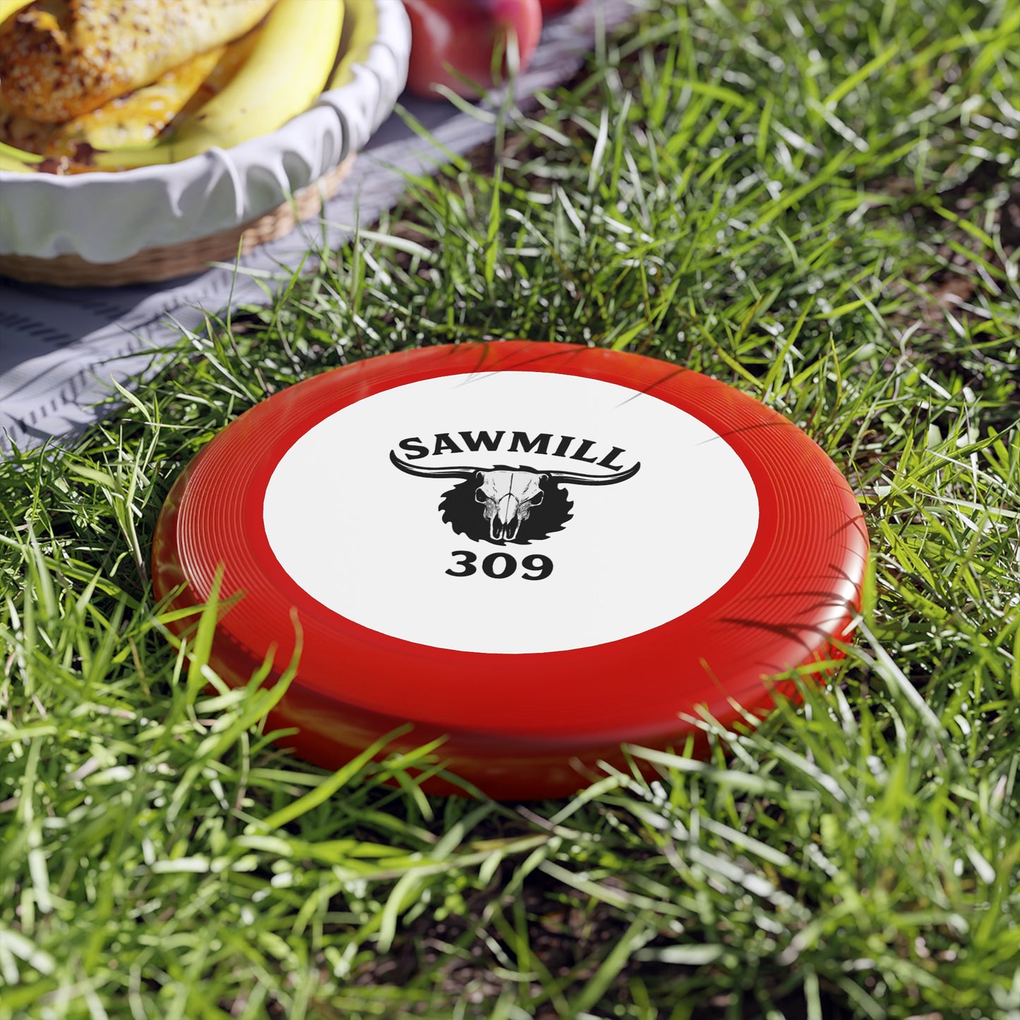 Frisbee